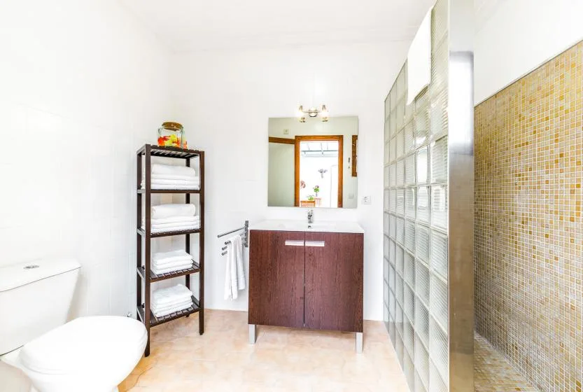 A bright bathroom with a vanity, mirror, and glass-block partition.