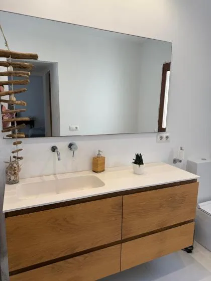 Un lavabo de baño con un espejo amplio y una pequeña planta en maceta.