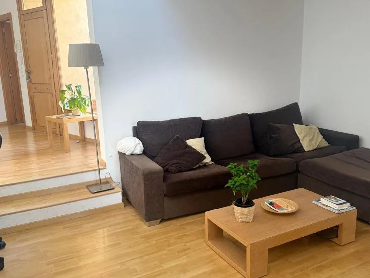 A living room with dark seating, a wooden coffee table, and a potted plant.