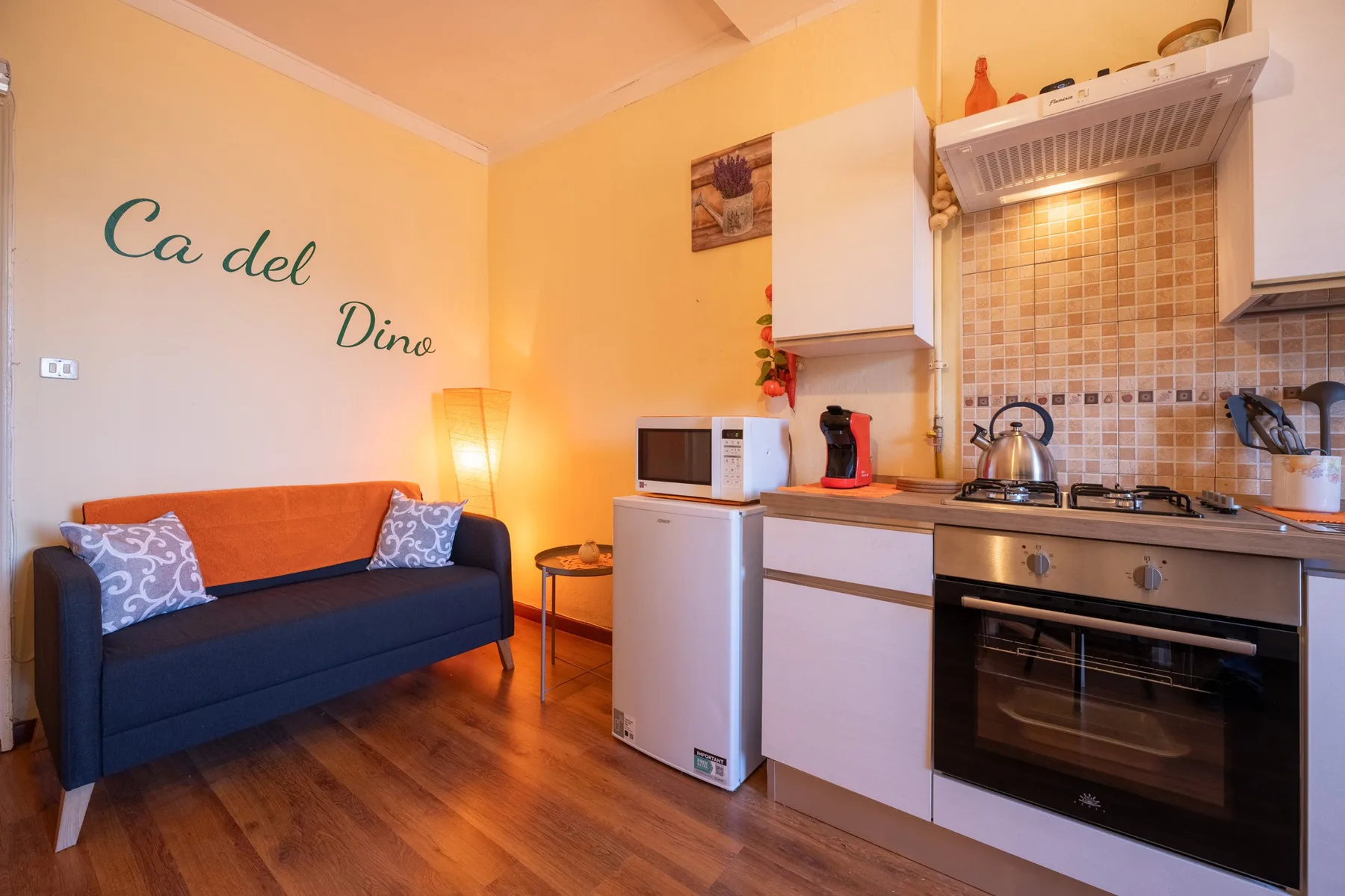 A compact living area and kitchen with a sofa, refrigerator, and cooking range.