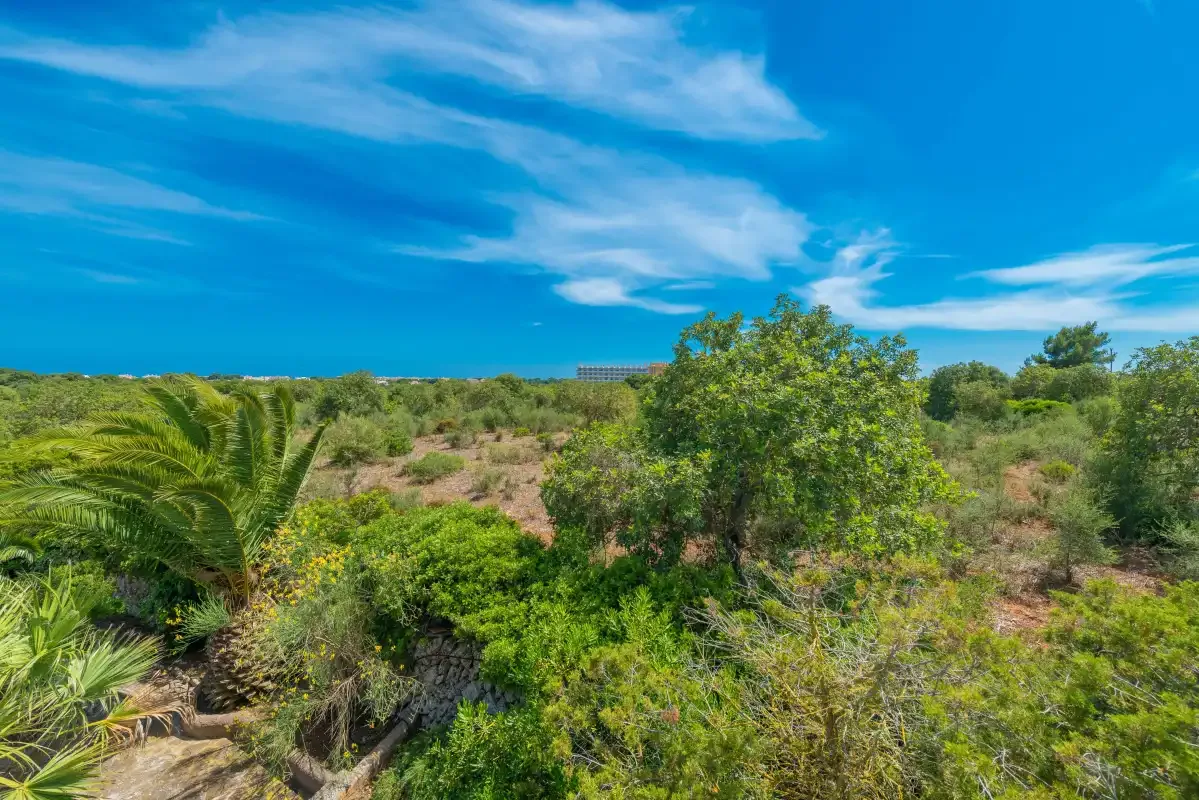 Un paisaje verde con arbustos y árboles bajo un cielo azul con nubes.