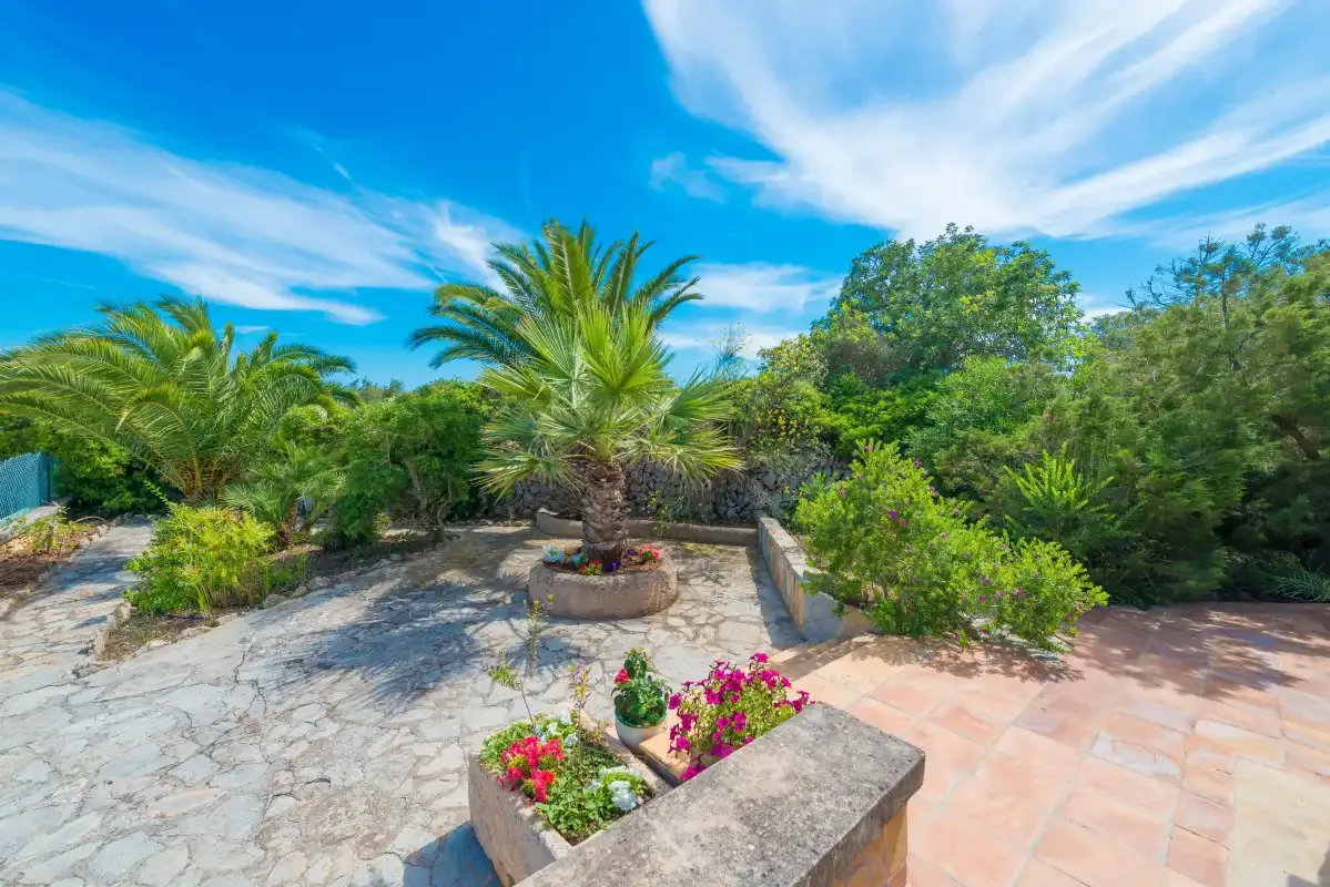 Un patio soleado con palmeras, vegetación y jardineras con flores.