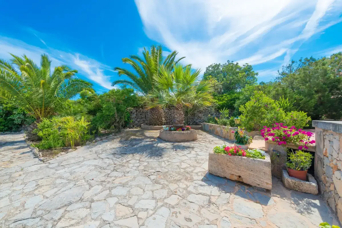 Un patio de jardín empedrado tiene palmeras y plantas con flores.