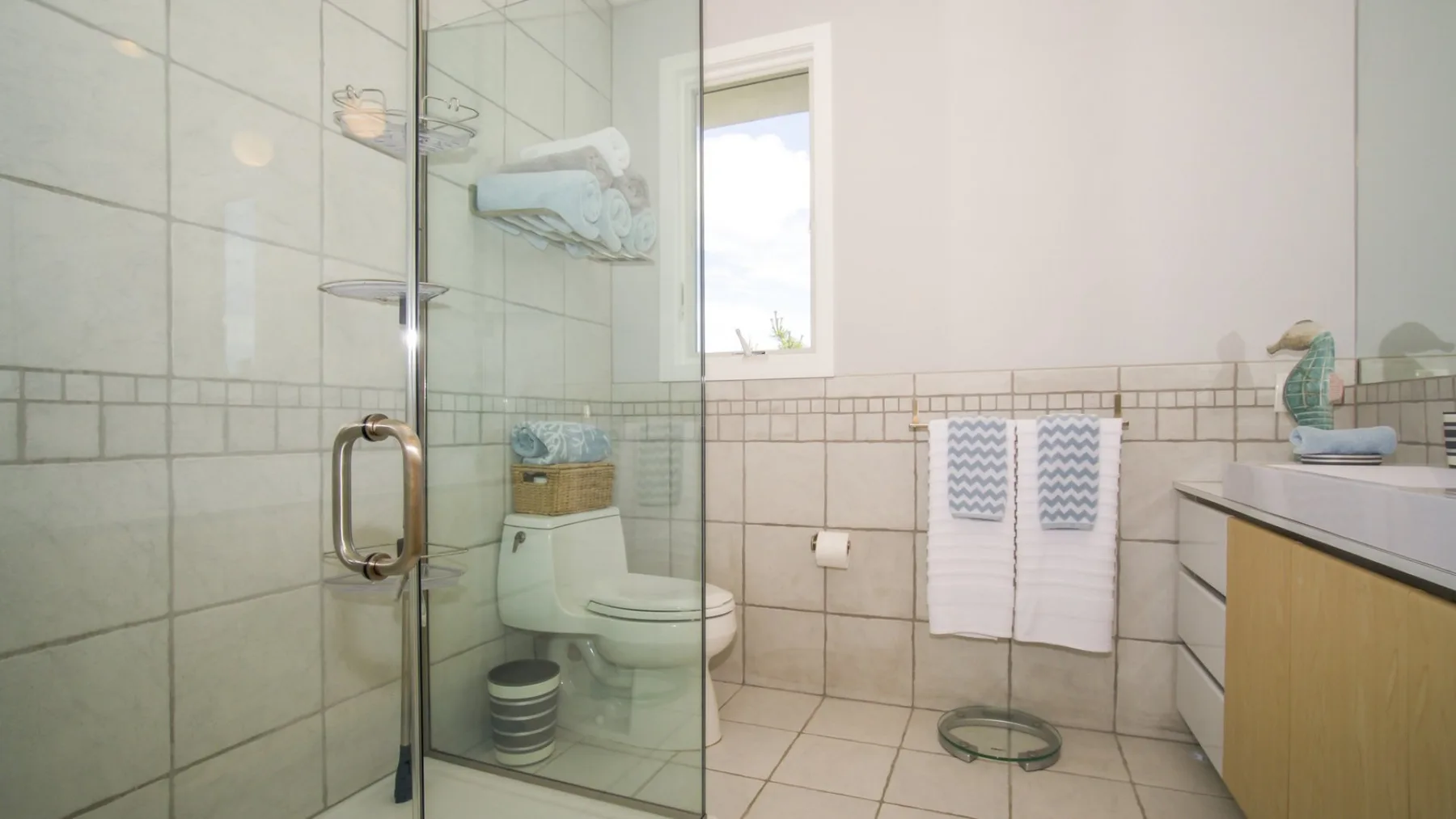 Un baño alicatado con una ducha de vidrio y un inodoro.