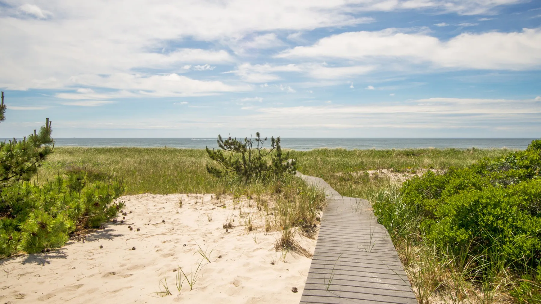 A sandy beach path winds through coastal grass toward the ocean.