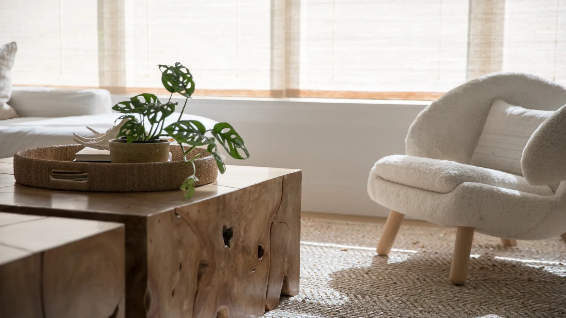 Una sala luminosa con asientos, una mesa de centro de madera y una planta frondosa.
