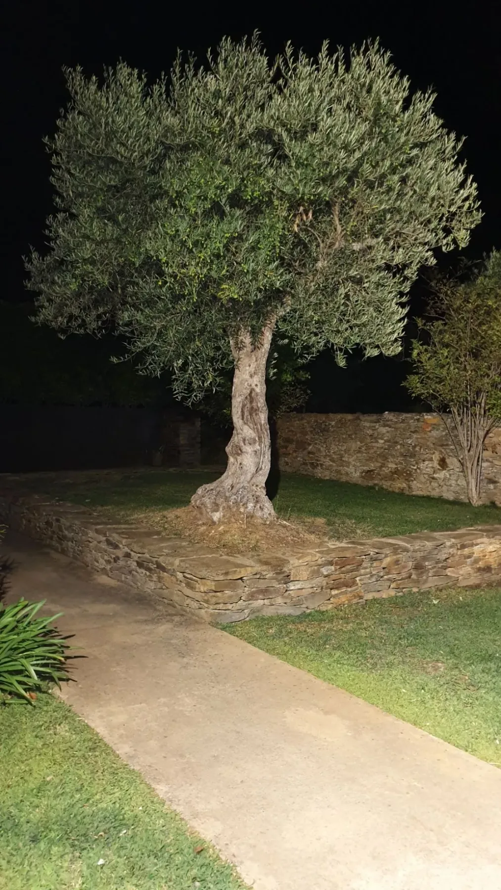Quinta dos Avidagos