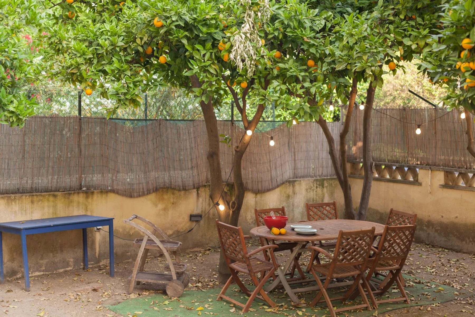 Una zona de comedor al aire libre está bajo árboles frondosos con guirnaldas de luces.