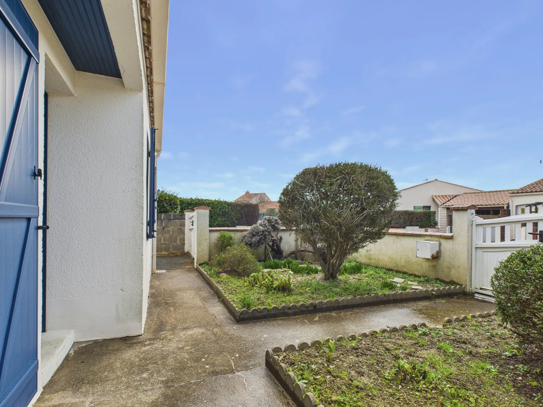 A paved garden walkway runs beside a planted yard and a tree.
