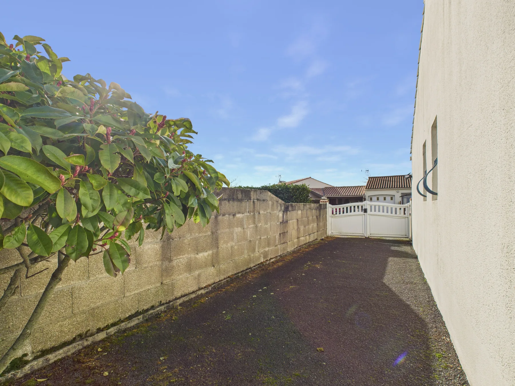 Outdoor paved passage beside a white building, with a stone wall and leafy tree.