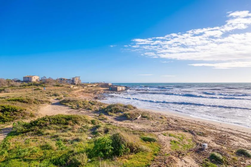 Una costa con vegetación baja junto a las olas bajo un cielo azul.