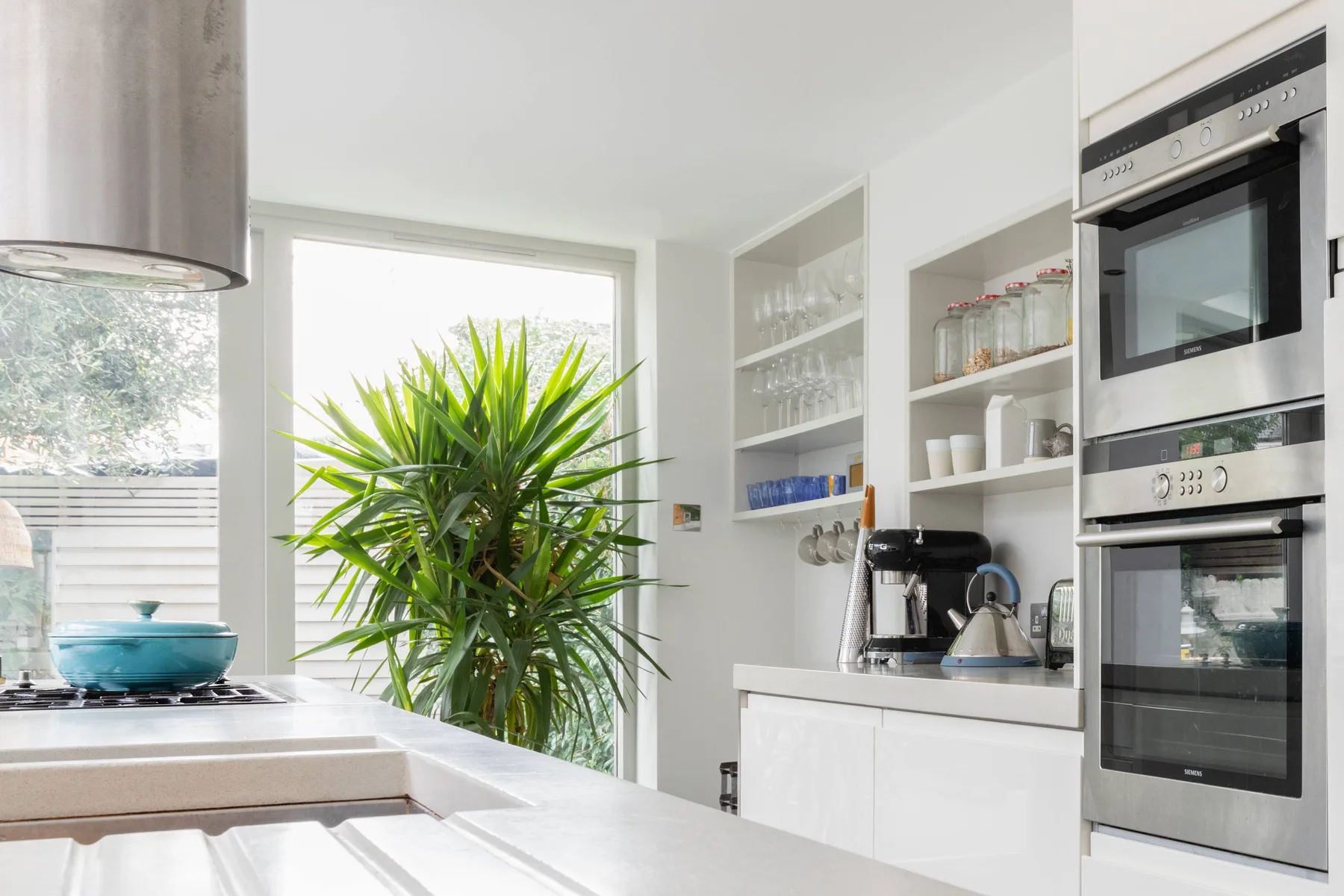 Una cocina luminosa con estantes abiertos, una encimera y una planta junto a la ventana.
