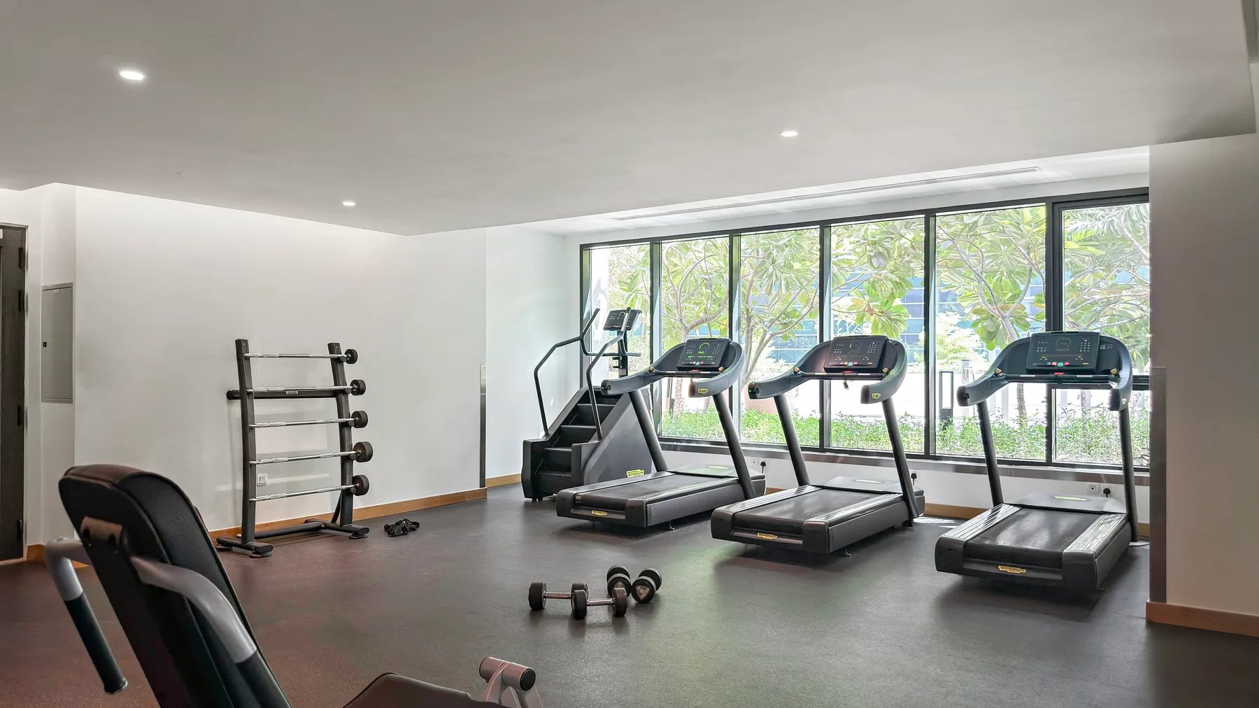 A bright fitness room with treadmills and exercise equipment by the windows.