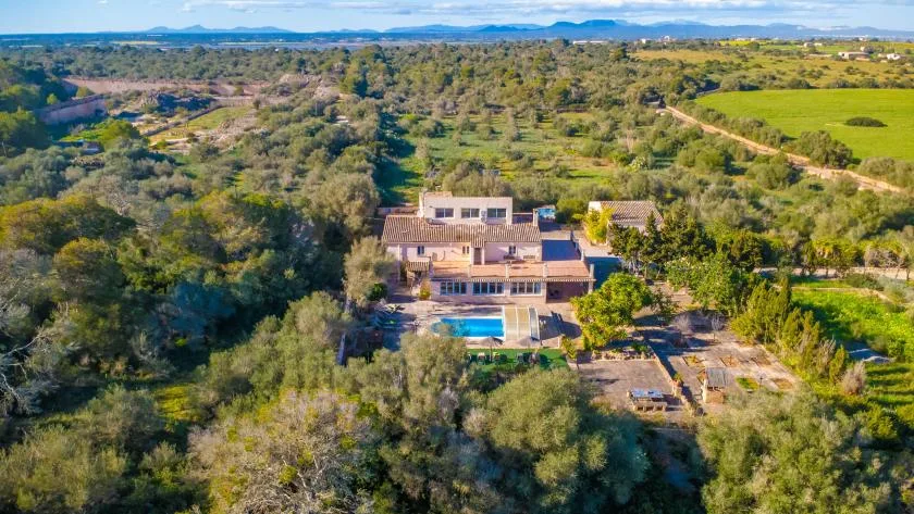 An aerial view shows a large property surrounded by trees and open fields.