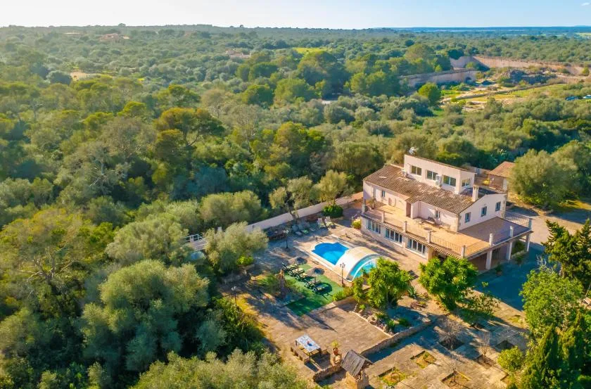 A large house and swimming pool sit amid a broad expanse of green trees.
