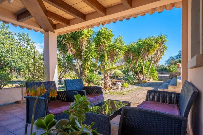A covered patio with outdoor seating overlooks a garden of palm trees.