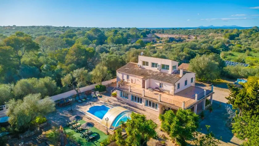 Aerial view of a house with a swimming pool amid wooded grounds.
