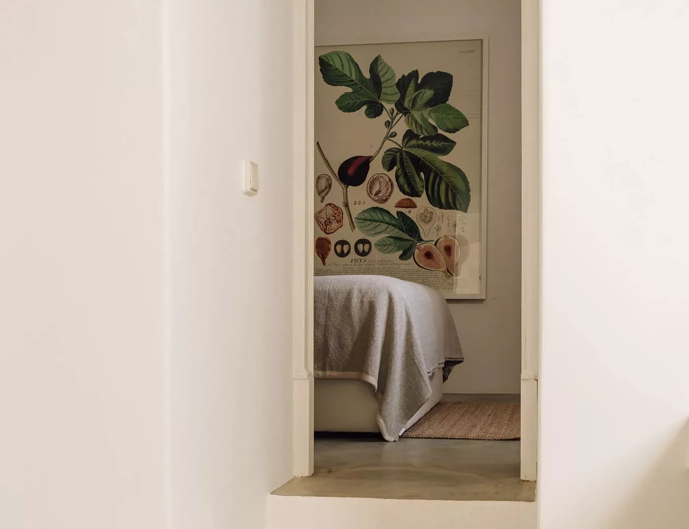 Suite del horno