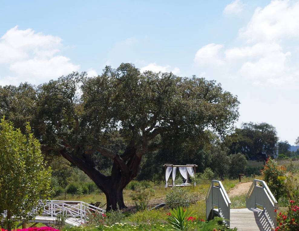 Natural surroundings