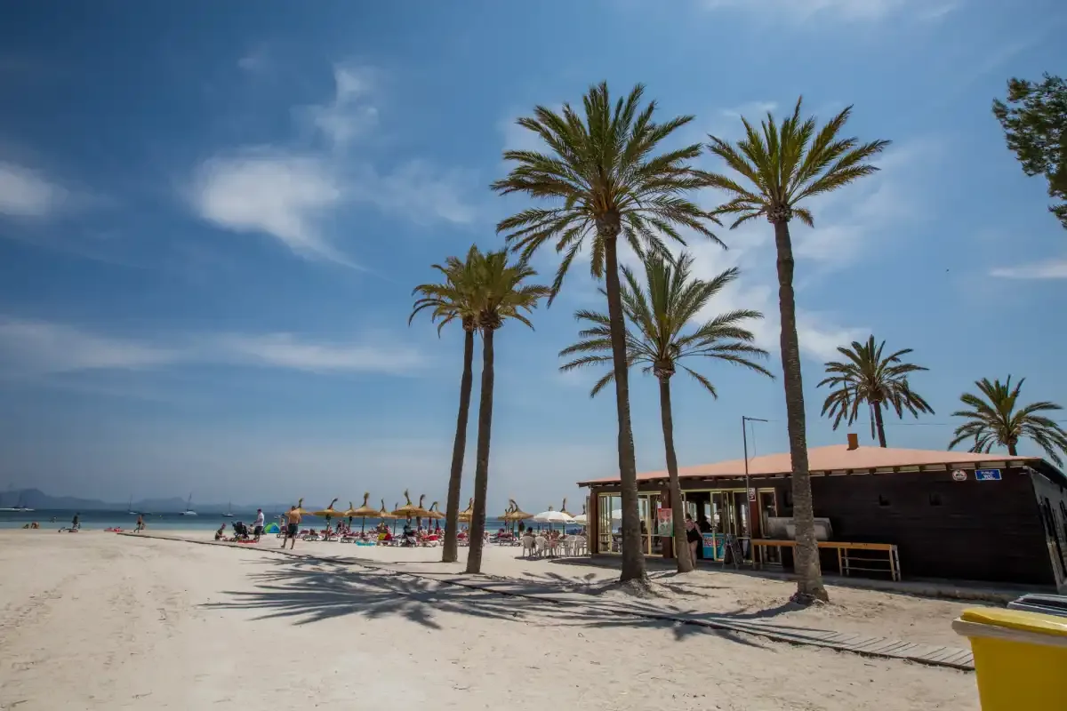 A sandy beach with palm trees, sun loungers, and a beachside café.