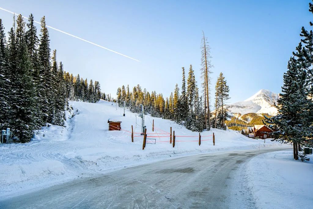 A snowy mountain road winds past pine trees toward a sunlit peak.