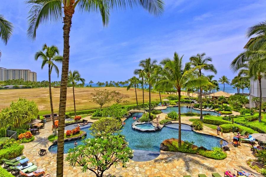 A palm-lined resort pool with landscaped gardens and the ocean in the background.