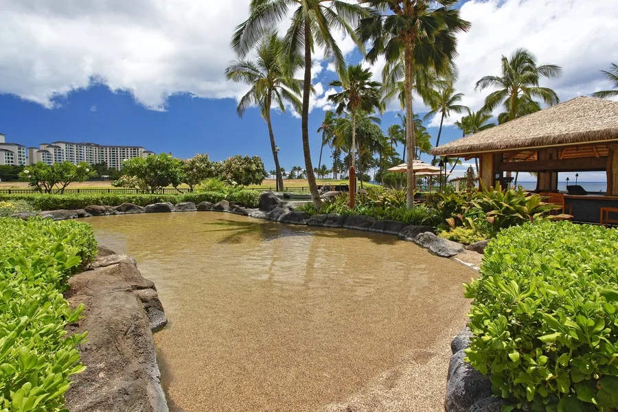 A shallow landscaped water feature bordered by rocks, greenery, and palm trees.