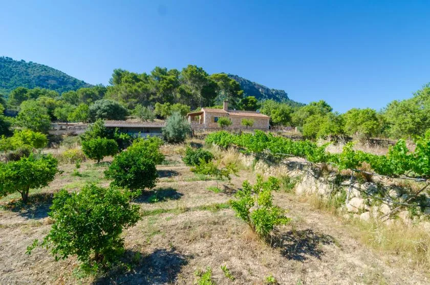 Una casa de piedra se encuentra entre árboles y vegetación baja, frente a una ladera verde.