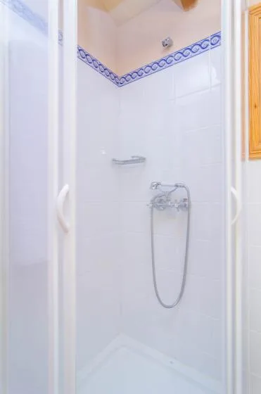 Una ducha con azulejos, ducha de mano y un borde decorativo azul.