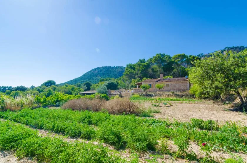 Un paisaje rural con campos verdes, árboles y un edificio bajo al pie de colinas boscosas.