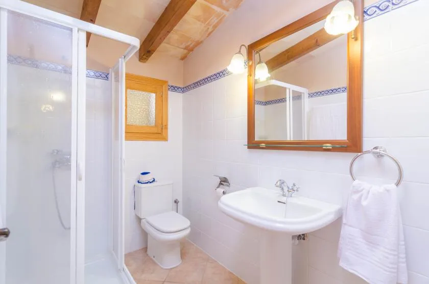 Un baño revestido de azulejos con ducha, inodoro y lavabo bajo un espejo grande.