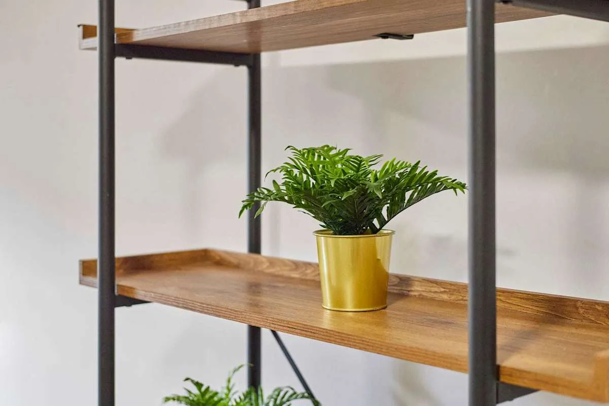 A potted green plant sits on a wooden shelf against a white wall.