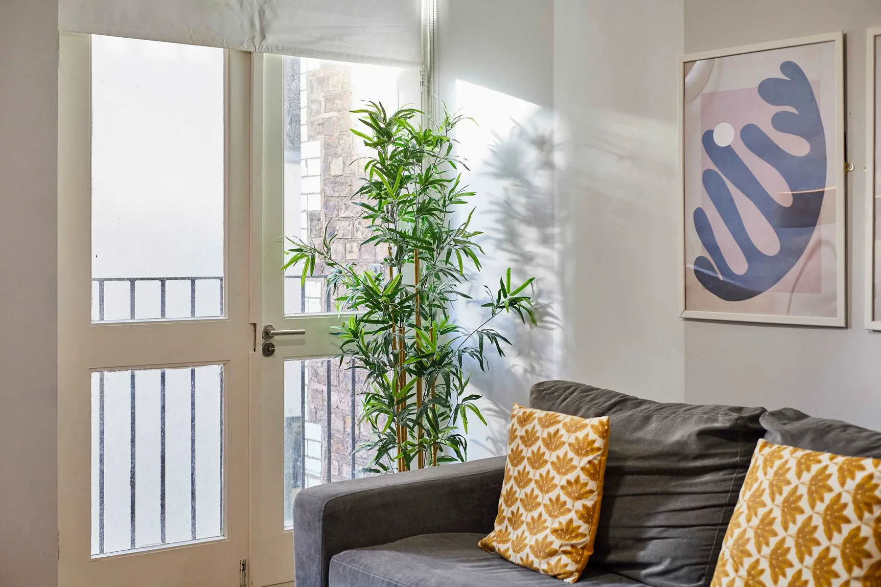 A bright living room with a dark sofa, patterned cushions, and a leafy plant.