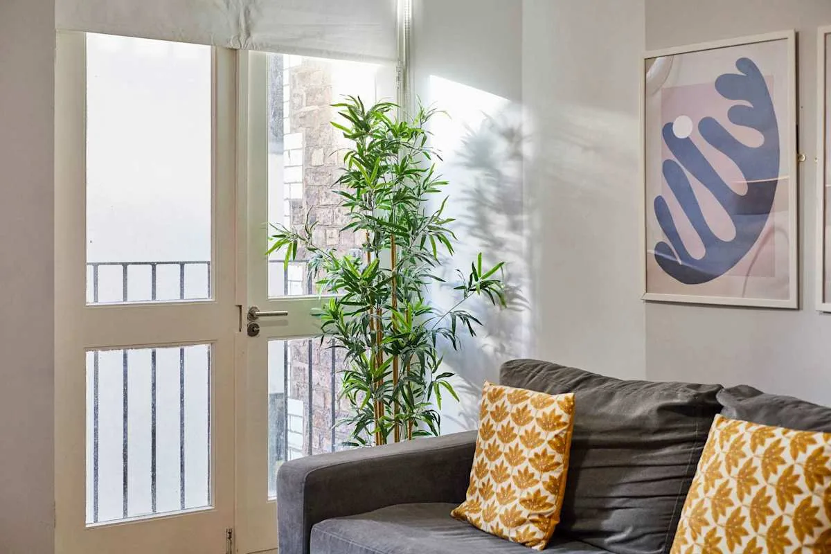 A living room with a gray sofa, patterned cushions, and a leafy plant by the window.