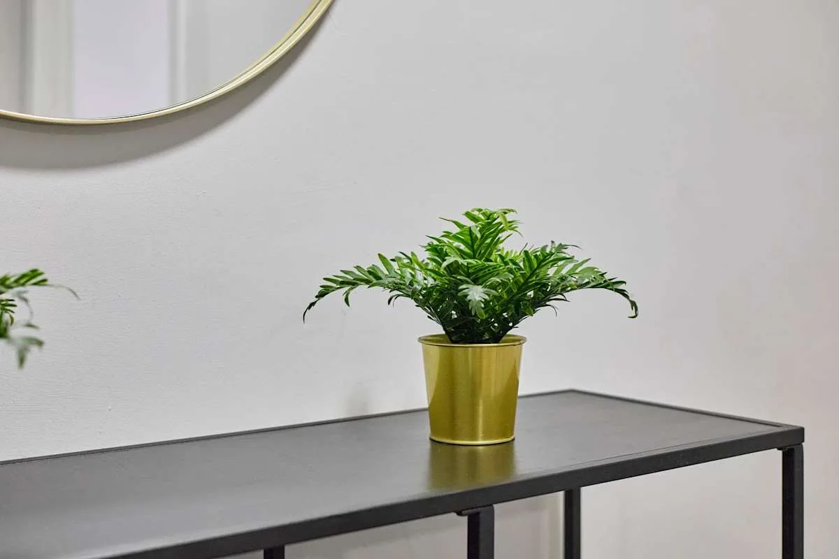 A potted fern sits on a narrow console table against a white wall.