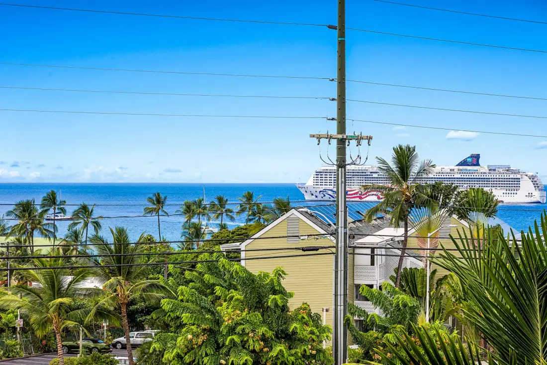 A coastal view shows a cruise ship offshore beyond palm trees and rooftops.
