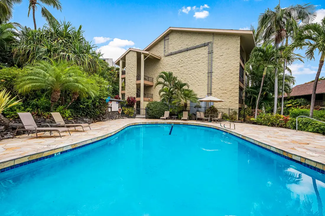 An outdoor swimming pool is surrounded by palm trees and lounge seating.