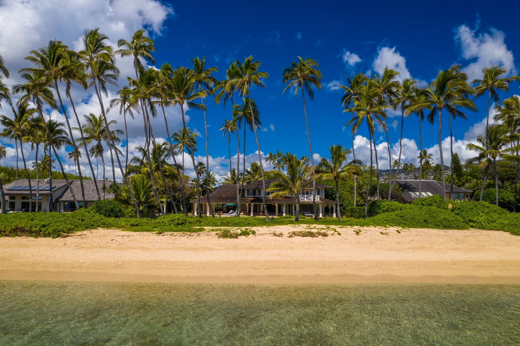 Una escena tropical frente a la playa, con palmeras, edificios bajos y agua tranquila.
