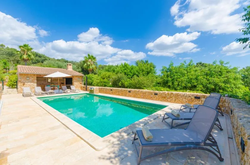 An outdoor swimming pool beside a stone terrace, with lounge seating and greenery.