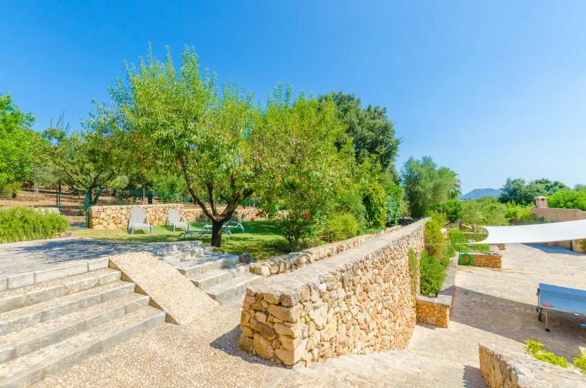 A sunny outdoor terrace with stone steps, low walls, and leafy trees.