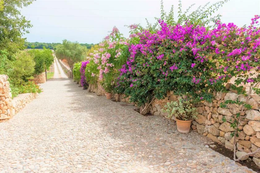 A cobblestone garden path runs beside flowering bushes and stone walls.