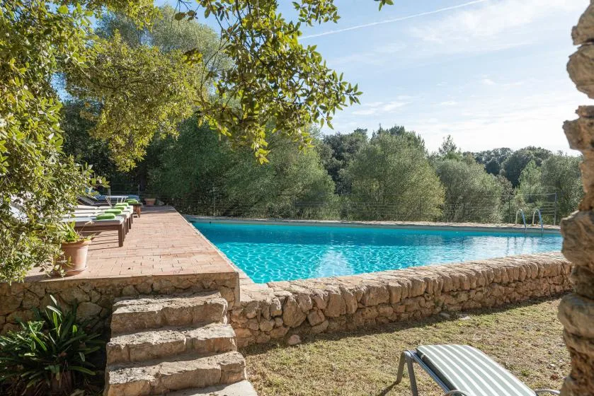 An outdoor swimming pool beside a stone patio, surrounded by trees.