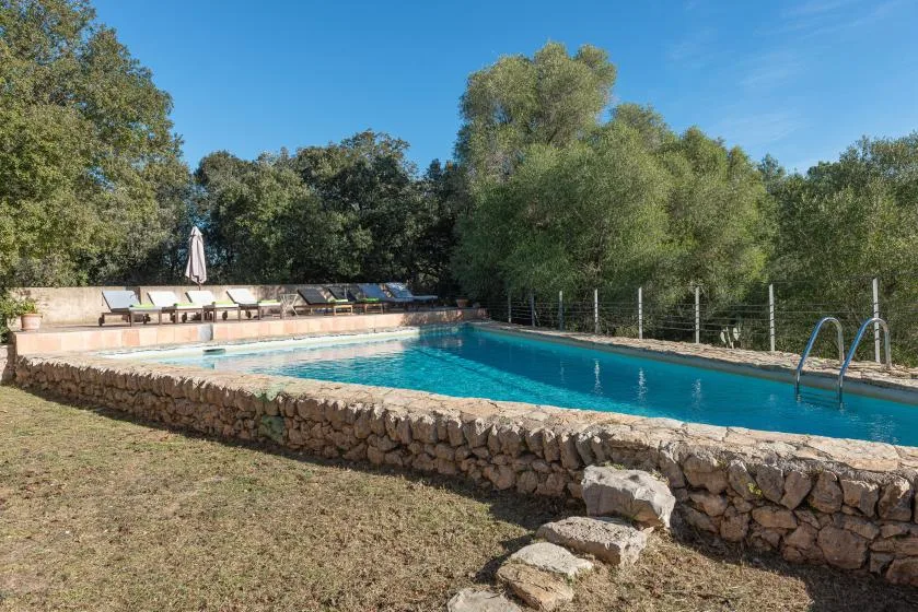 An outdoor swimming pool bordered by a low stone wall and trees.