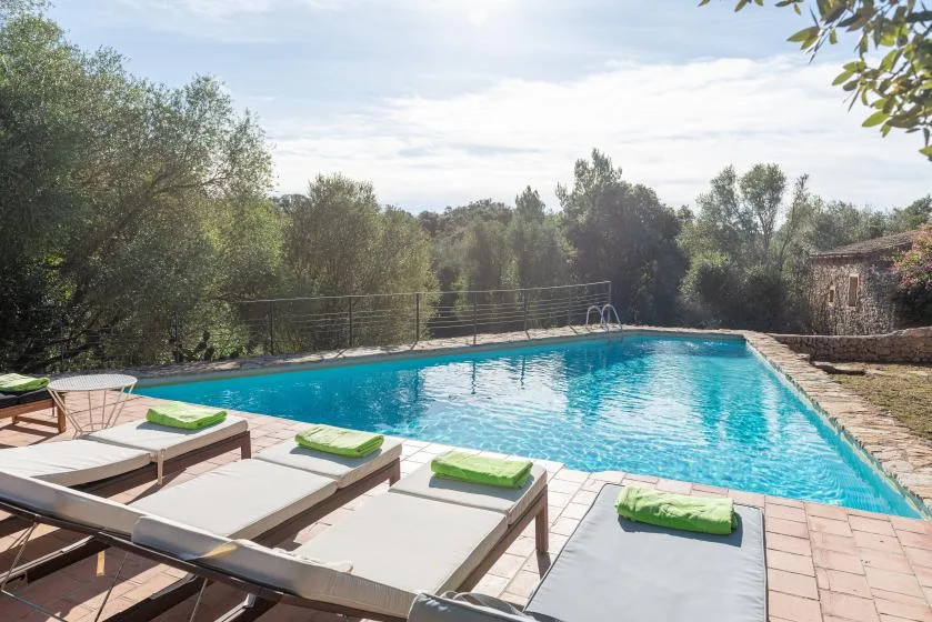 A swimming pool beside a paved patio with sun loungers and surrounding trees.