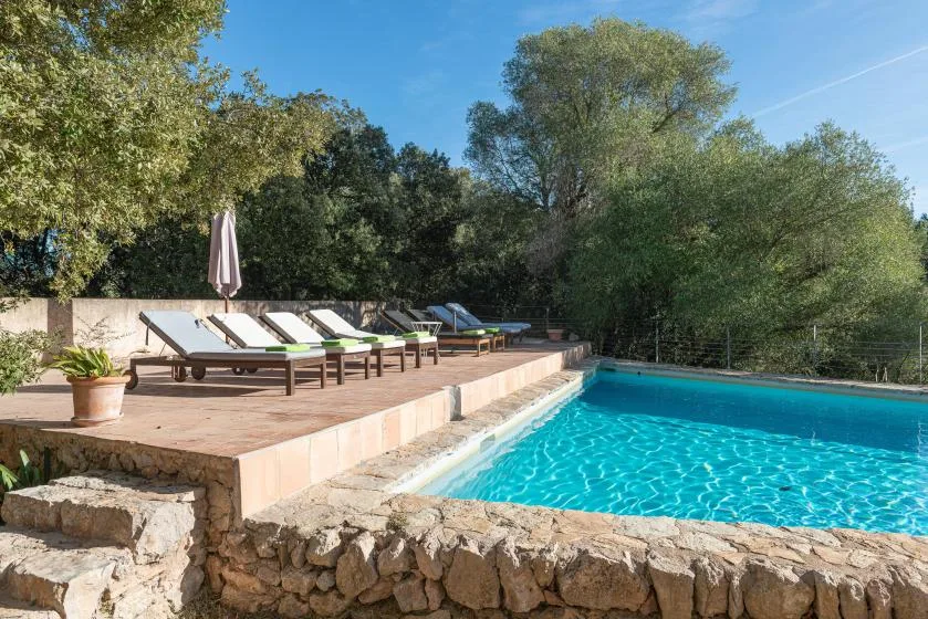 An outdoor swimming pool sits beside a raised terrace with loungers and trees.