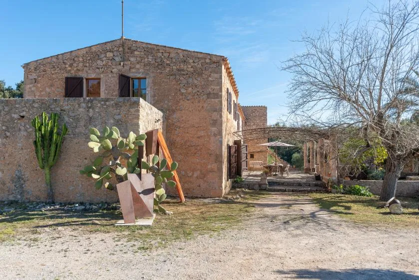A stone building stands beside a gravel yard with cacti and a leafless tree.
