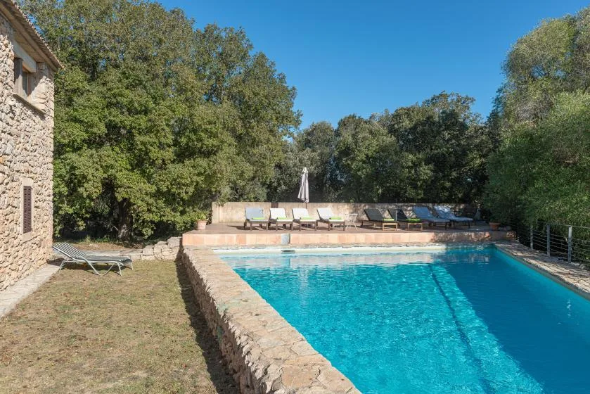 An outdoor swimming pool bordered by stone paving, with loungers and trees nearby.