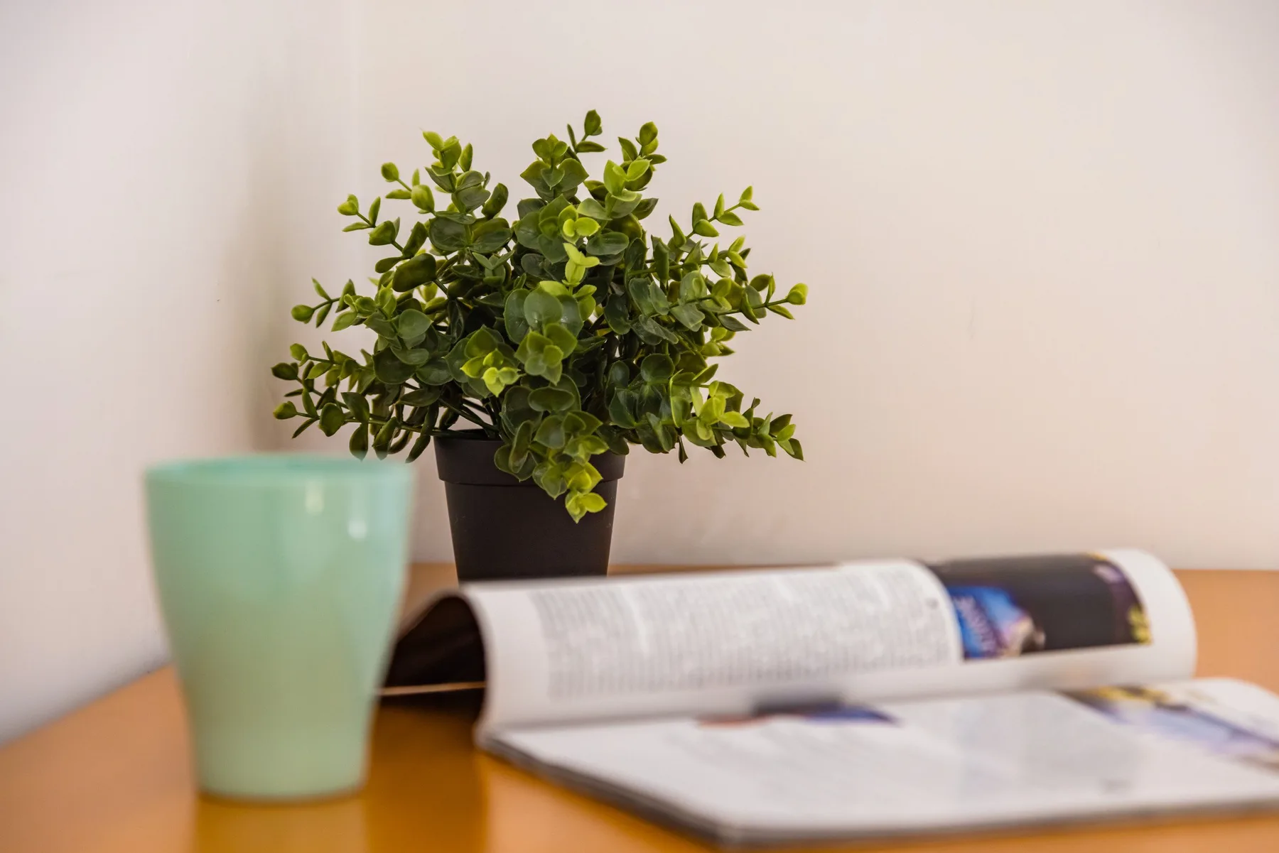 Una planta frondosa en una maceta está detrás de una revista abierta sobre una mesa.