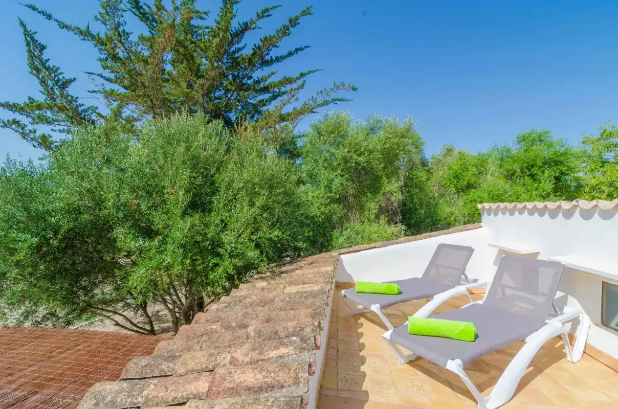 Outdoor terrace with two reclining loungers beside leafy trees.