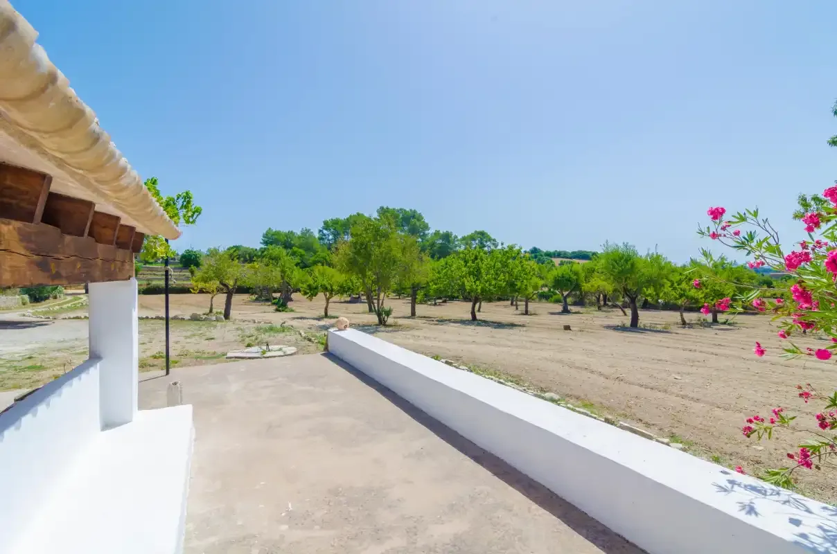 An outdoor terrace opens onto a dry, tree-dotted landscape beneath a clear sky.